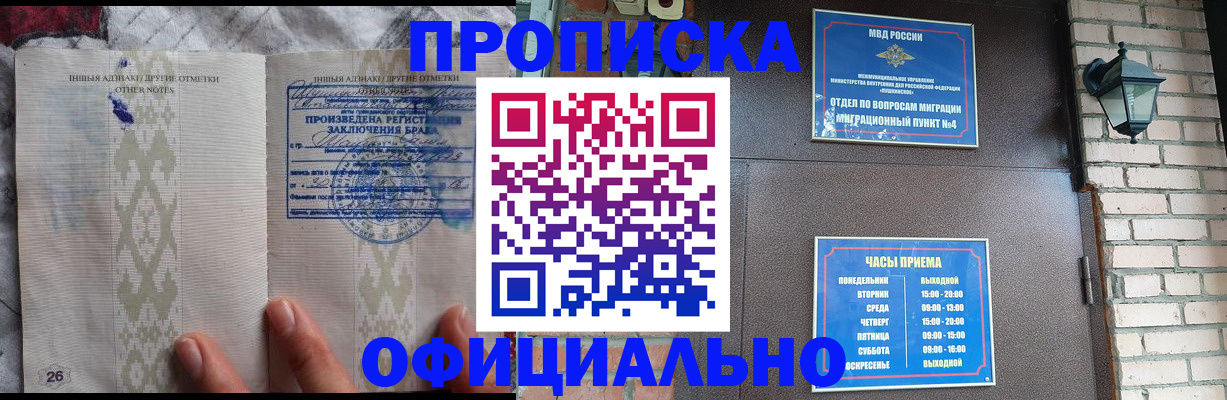 прописка поиск в Заинске